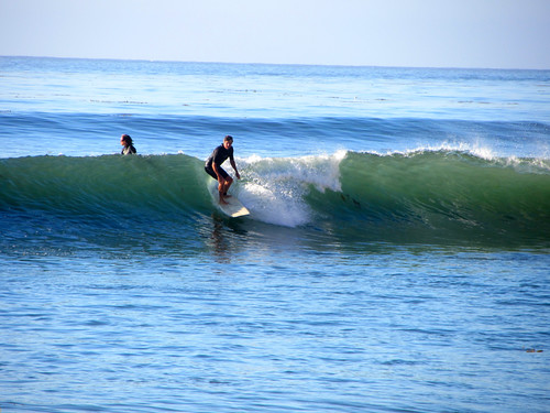 surfers in the Cove