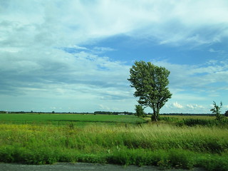 Canadian Countryside