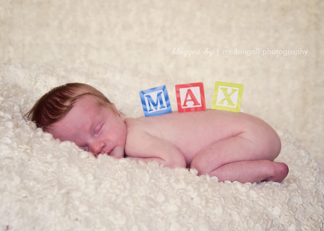 Day 183 - Newborn Max
