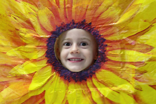 Auttie-Sunflower