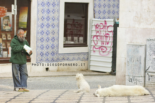 o senhor dos cães by diegofornero (destino2003)