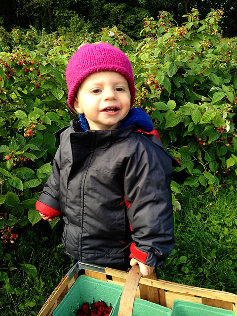 Raspberry Picking