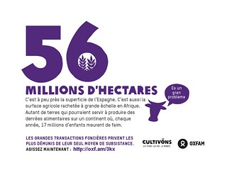 56 millions d'hectares : la superficie de l'Espagne. C'est aussi la surface agricole rachetée à grande échelle en Afrique