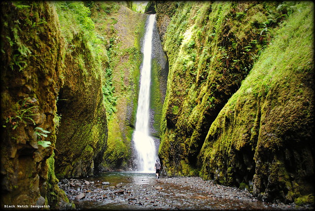 A hiker about to take a cold plunge at the waterfall at the end of Oneonta Gorge