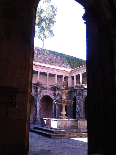 The fontain, the tree and the cloister