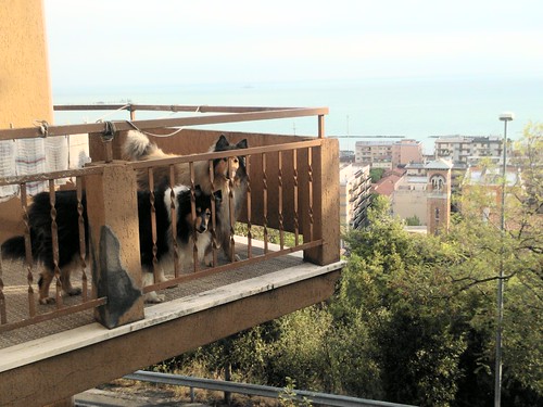 balcony view by Hermio82