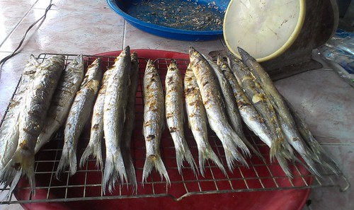 BBQ Fish at Maenam morning market サムイ島市場