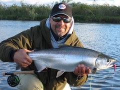 Great Silver Salmon