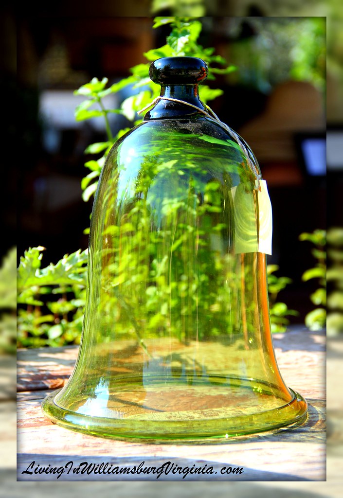 Green bell jar