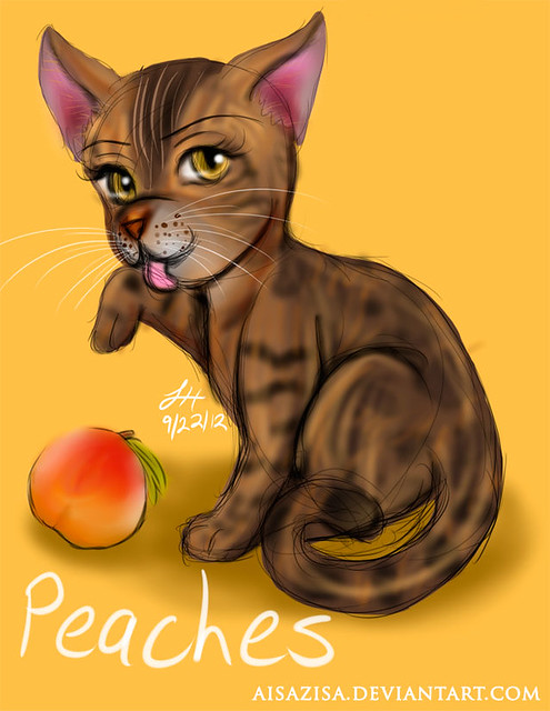 Peaches Sketch