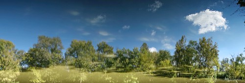 River reflection landscape by andiwolfe