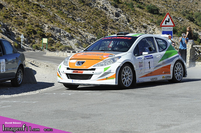 "Pedro David Perez, Peugeot 207 s2000. Rallye Sierra de cadiz 2012"