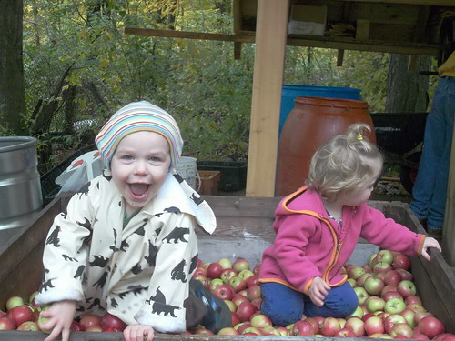 Dexter and Hannah mixing up the apples at the cider pressing by woodsrun