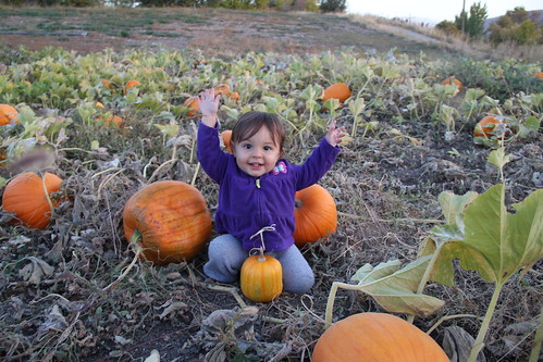 Jovie baby girl in the pumpkins 9