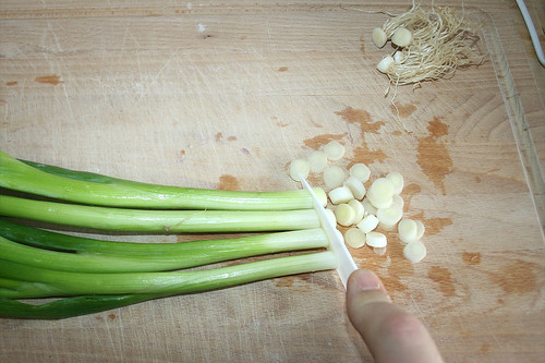 24 - Frühlingszwiebeln in Ringe schneiden / Cut spring onions