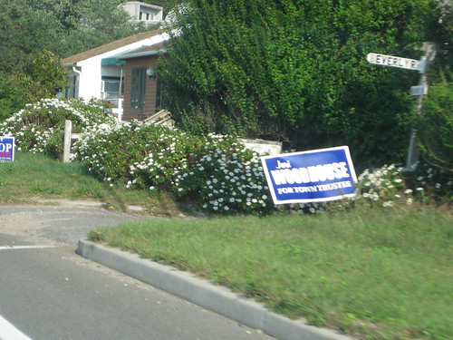Political signs: Long Island