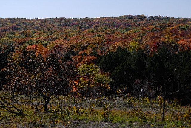 Shaw Nature Reserve (the Arboretum), in Gray Summit, Missouri, USA - view of autumn forest