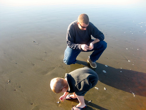 Looking for shells