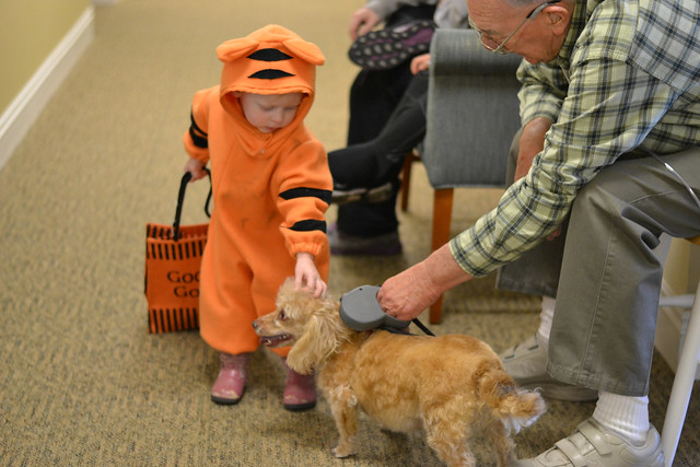 Trick or treating--hi puppy!
