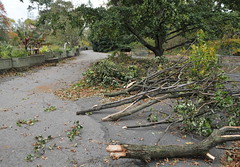 BBG After Hurricane Sandy 2012-11-02