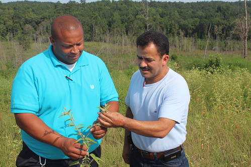 Variano Suarez (right) worked with NRCS Supervisory District Conservationist Kelvin Jackson and other staff members to plant native legumes on his land, providing food and shelter for dove and other wildlife.