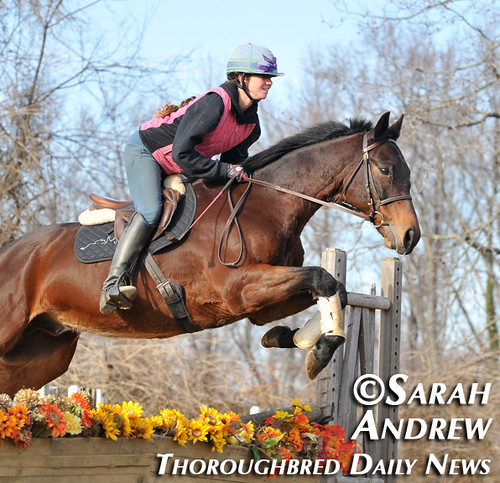 Retired Racehorse Training Project’s 100 Day Thoroughbred Challenge: Suave Jazz