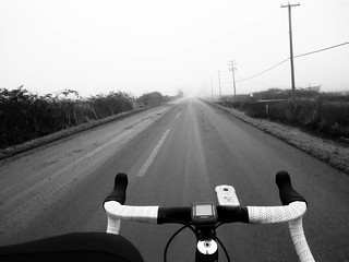 Fog - Cycling in Richmond BC