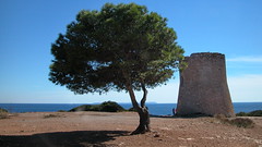 2002 - Mallorca