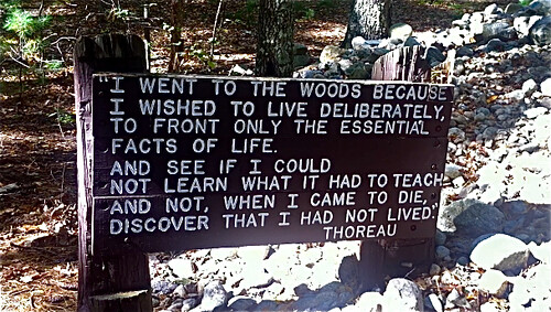 I went to the woods because..." Thoreau at Walden