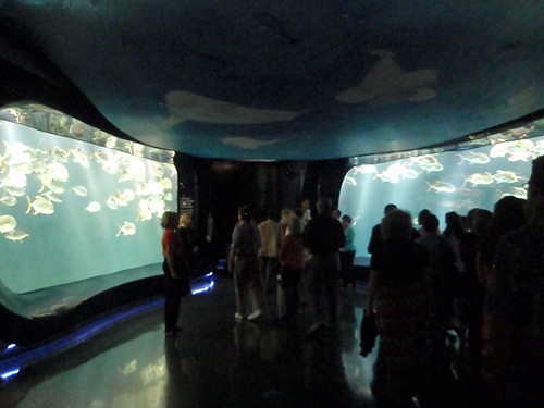 aquarium entrance