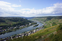 Zell, Mosel Valley