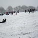 Snow-lovers in Hilly Fields