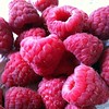 January 24: I love raspberries