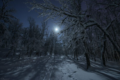 Winter full moon