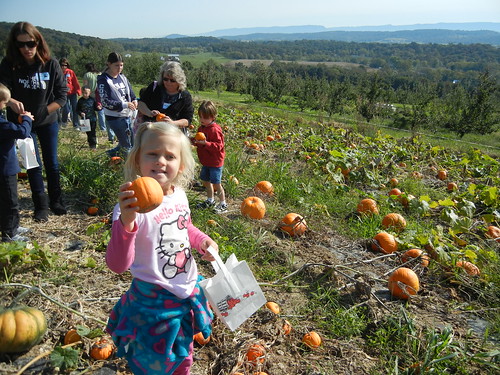 Sept 25 2012 Showalter Orchard Kindergarten Field Trip (3)