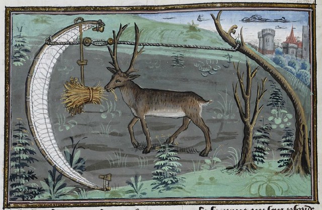 15th century illuminated manuscript miniature: Henri de Ferrières, Les Livres du roy Modus et de la royne Ratio 119