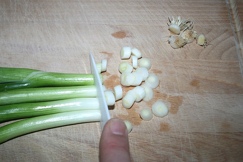 18 - Frühlingszwiebeln in Ringe schneiden / Cut spring onions in rings