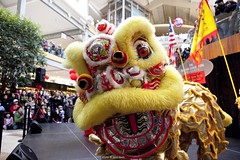 Chinese New Year Celebration | Bellevue.com