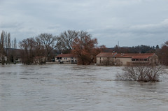 La Moselle - Ferme inondée