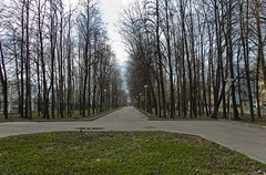 Lomonosov Moscow State University park