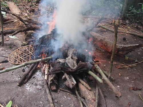 Burning the meat in poachers camp