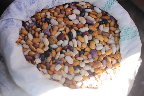 Sack o' Beans in Cholula