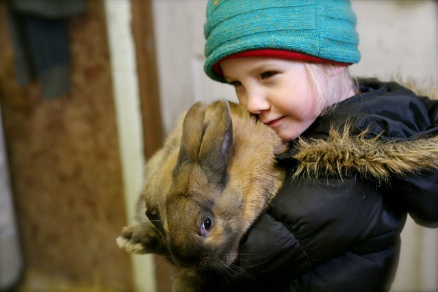 Bunny hugging at the Funky Farm