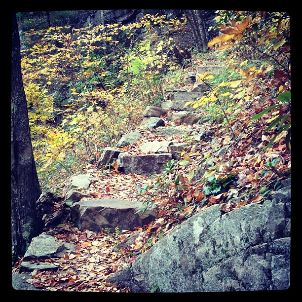And now, hiking the Appalachian. #fallbreak