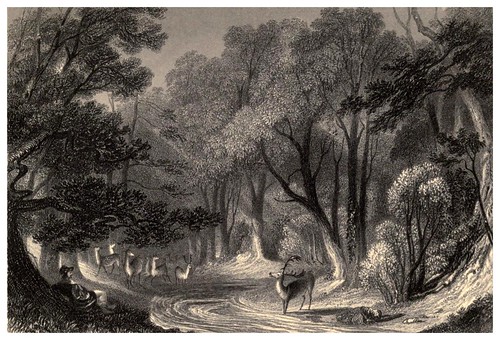011- El bosque de Arden-The book of Shakespeare gems…1854- G. F. Sargent