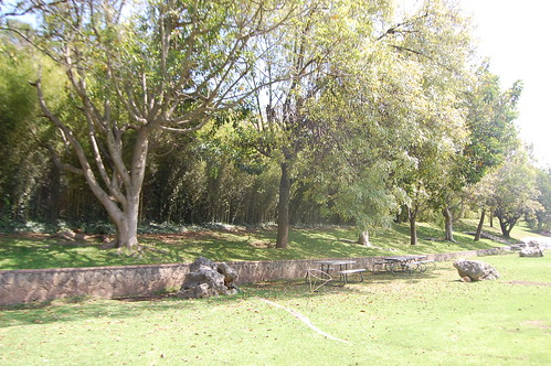 arboles Ixtapan