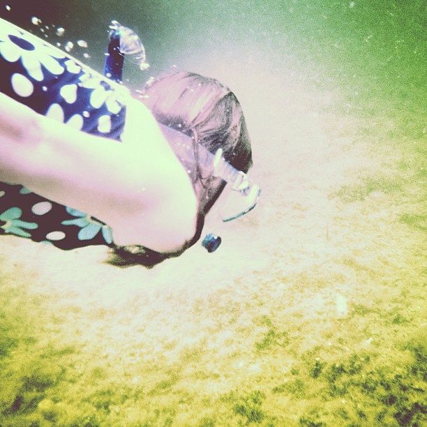 Diving Deep. @bluesparklejoy #thebigchill13 #keylargo
