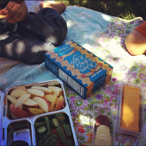 288/366 :: sunday picnic