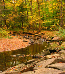 Allegany State Park Fall 2012