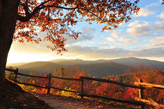 Fall Color in  the Smokies